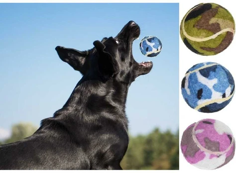 Pets Collection TENISO KAMULIAI ŠUNIMS, 3 VNT