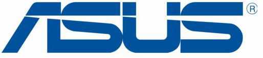 Asus Adapteris