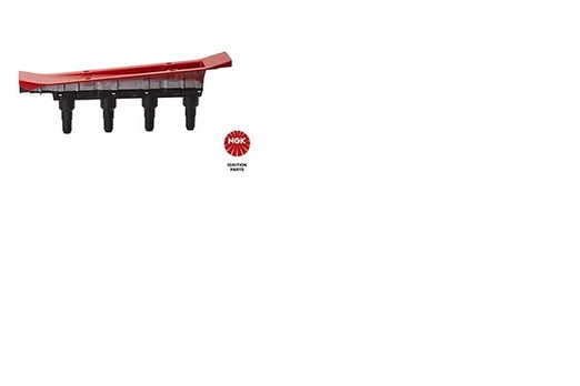 Ritė, uždegimas NGK 48128