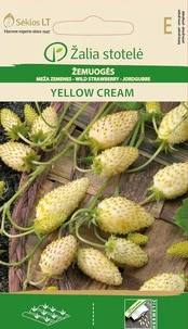 Žemuogės Yellow Cream