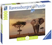 Dėlionė Ravensburger Masai, 50 cm x 70 cm kaina