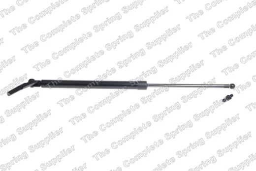 LESJOFORS LS8188315 Boot strut