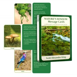 Natures Wisdom Mini kortos