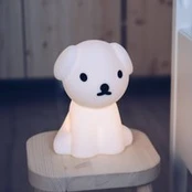 Įkraunama lempa "First Light", 23 cm