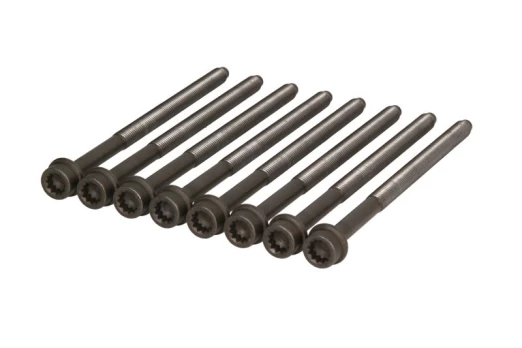 ELRING EL223890 Cylinder head bolt set