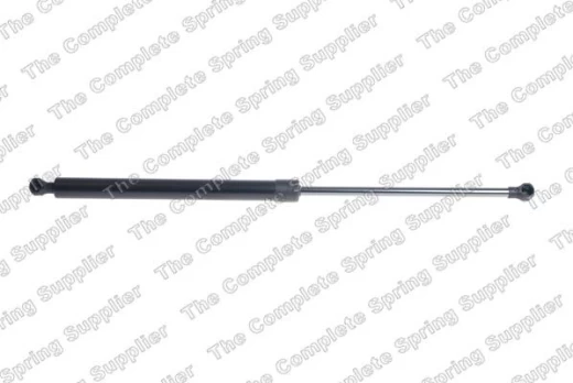 LESJOFORS LS8172973 Boot strut