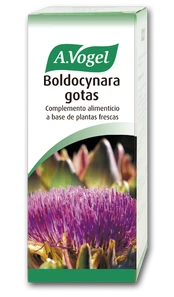 A. VOGEL Bioforce Boldocynara 100ml