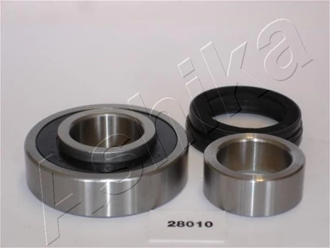Rato guolio komplektas ASHIKA 44-28010