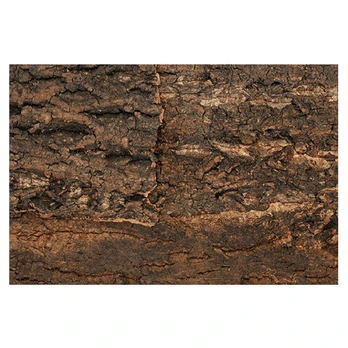 Dekoracija terariumui Repti Planet Background cork natural