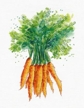 Carrot S1486 kaina