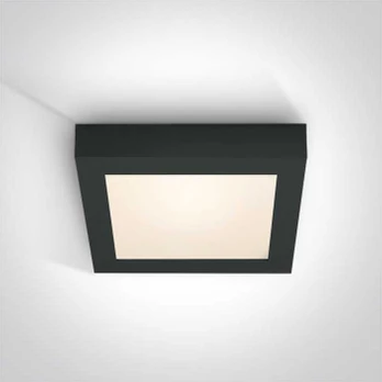 Lubinis šviestuvas 22W LED plafonas, juodas, 3000K, 62122F/B/W