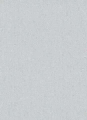 Viniliniai tapetai flizelino pagrindu ERISMANN TIMELESS SOLID 1007231, 0,53 x 10,05 m