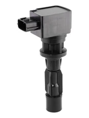 Ritė, uždegimas BorgWarner (BERU) ZSE311