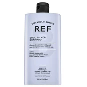 Šampūnas REF Cool Sidabrinis 285 ml kaina