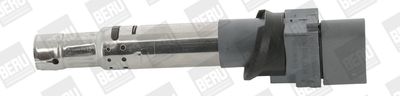 Ritė, uždegimas BorgWarner (BERU) ZSE041