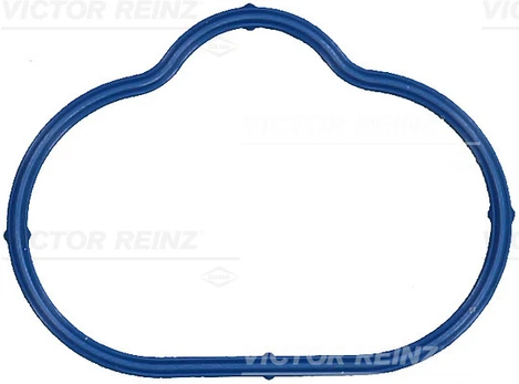 Įsiurbimo kolektoriaus tarpinė 71-17518-00