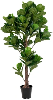 Dirbtinis augalas House Nordic Fiddle Leaf Tree, žalia, 190 cm kaina