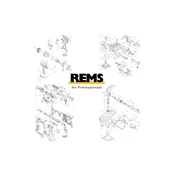 Kumšteliai REMS 172107R kaina