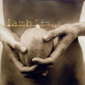 CD Lamb - Between Darkness And Wonder