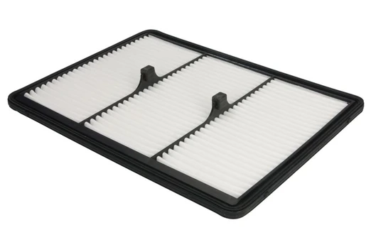 Oro filtras FILTRON AP198/3