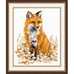 Beautiful Fox S979