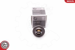 Termostatas, aušinimo skystis ESEN SKV 20SKV058 kaina