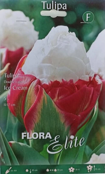 Tulpės Ice Cream, 5 vnt