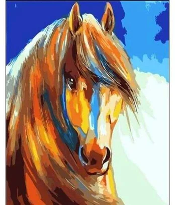 Tapyba pagal skaičius, 50x40cm