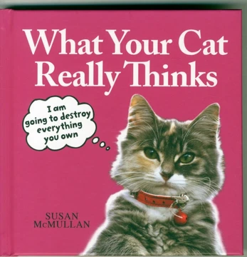 What Your Cat Really Thinks