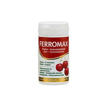 Maisto papildas Ferromax, 120 tablečių