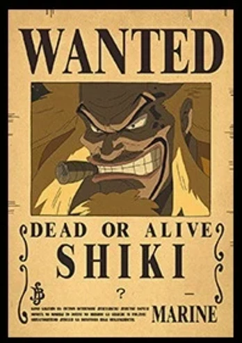 Plakatas One Piece