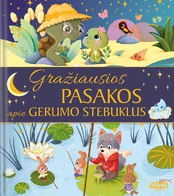 Gražiausios pasakos apie gerumo stebuklus kaina