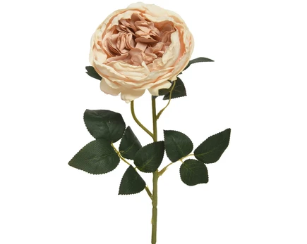Kalėdinė dekoracija ROSE, šampaninės sp., 10 x 10 x 60 cm