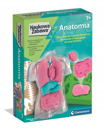 Mokslo įdomybės Anatomija - Clementoni