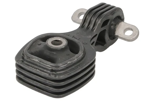 Variklio montavimas TEDGUM TED40760