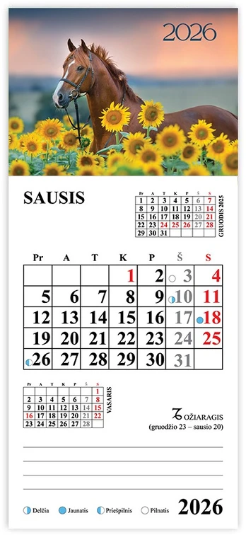 2026 metų magnetinis kalendorius „Arklys ir saulėgrąžos“