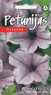 Petubžnijos Brigitta F1