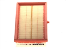 Oro filtras FILTRON AP178/2 kaina