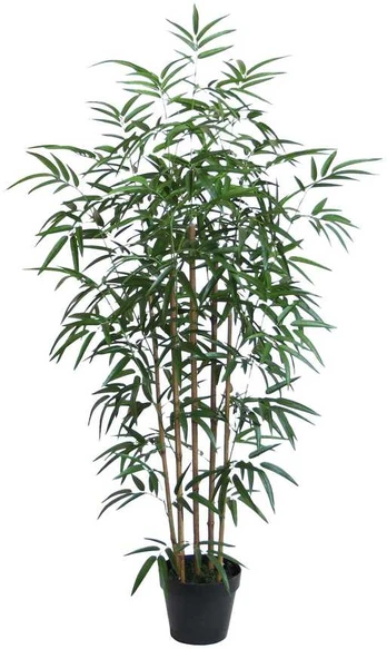 Bamboo Dirbtinė eglutė VĖJO BAMBUKAS A130cm