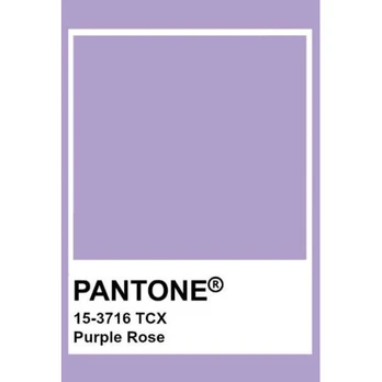 Ritininė užuolaida Domoletti Rainbow 210, violet 60 x 220 cm