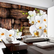 Artgeist Fototapetas - Blooming orchids kaina