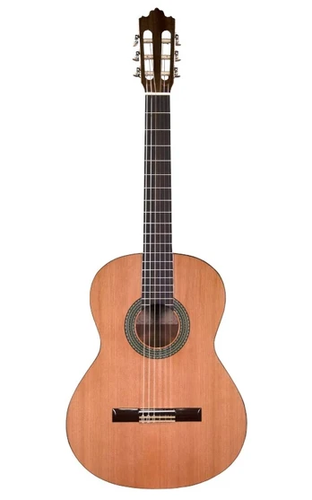 No Name Prodipe Guitars Recital 300 4/4 - gitara klasyczna