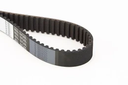 CONTI CT 619 Timing belt kaina