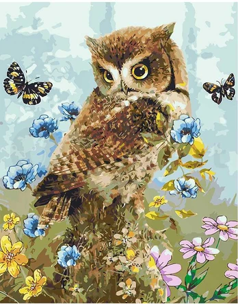 Omaart Owl and butterflies