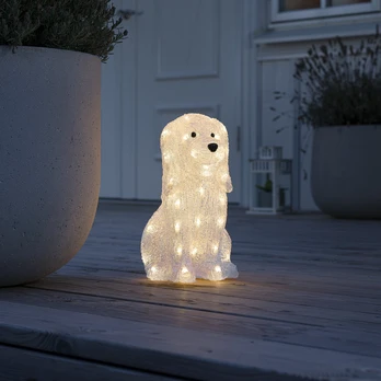 LED apšviestas šuo