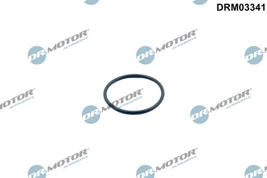 Tarpiklis, termostatas Dr.Motor Automotive DRM03341