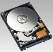 Kietasis diskas (HDD) CoreParts AHDD036, 2.5", 320 GB kaina