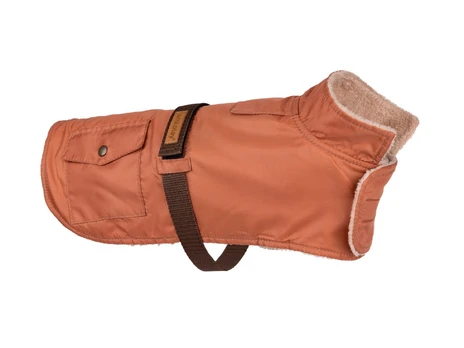 Striukė šunims Amiplay Bled, oranžinė, 38 cm