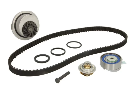 INA 530 0004 30 Timing belt kit (belt+ pulley+ water pump)