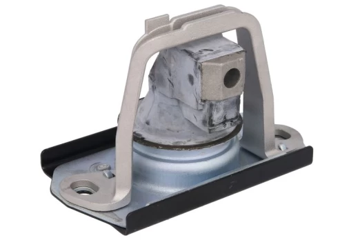 Variklio montavimas DELPHI TEM043